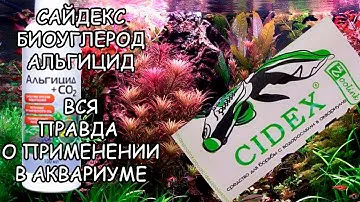 САЙДЕКС, БИОУГЛЕРОД, АЛЬГИЦИД В АКВАРИУМЕ. ВСЯ ПРАВДА