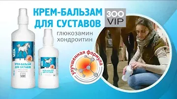 Как использовать крем-бальзам для суставов лошадей - ролик для ветеринарного сайта