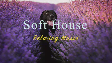 Soft House 2023 🌷🌅 Relaxing Music Mix【House / Chill Mix / Instrumental】
