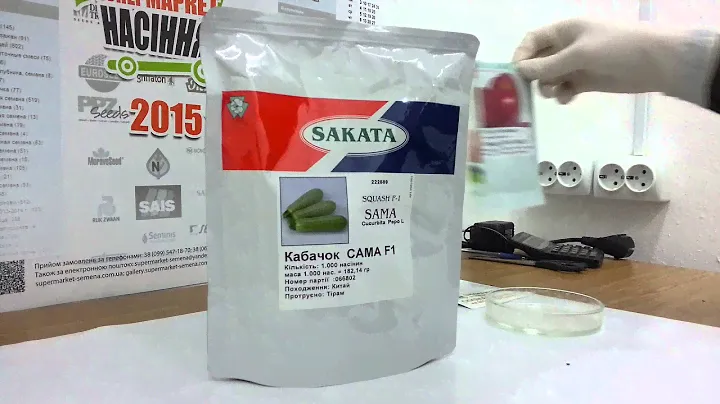 Антифейк. Часть 28. Семена кустового кабачка Сама F1 (SAKATA)